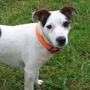 Meet your Posher, Carmen